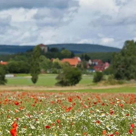 Mit Grill By Interhome