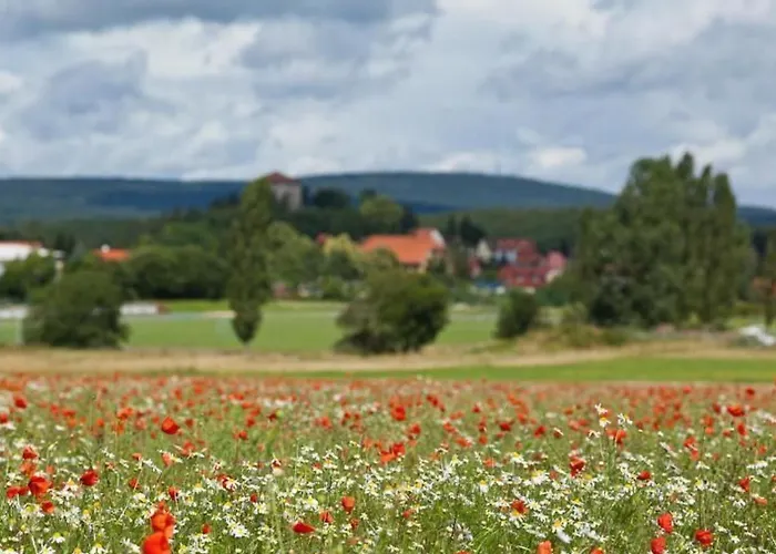 Mit Grill By Interhome