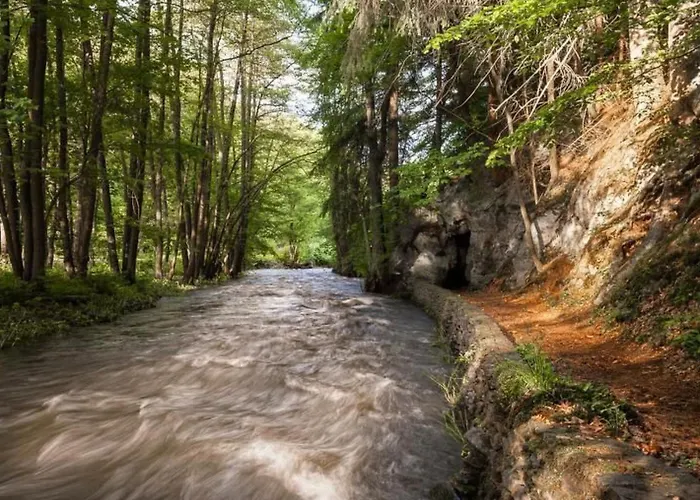 アパート Mit Grill By Interhome ハルツゲローデ