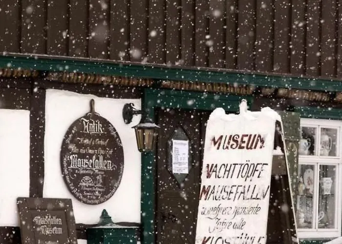 Mit Grill By Interhome * ハルツゲローデ